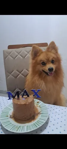 Procura se uma namorada 