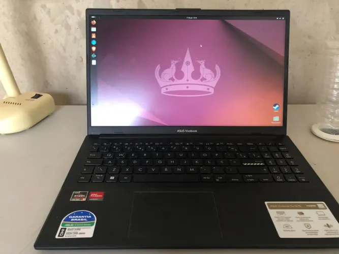 Notebook Asus Vivobook (Seminovo)