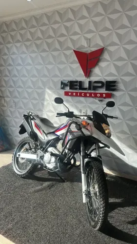 HONDA XRE 300 RALLY - ANO 2015(FELIPE VEÍCULOS