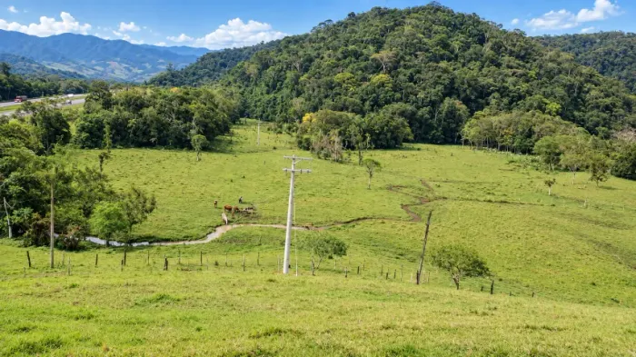 SÍTIO 15 HECTARES (6 ALQUEIRES) ÓTIMO PARA CRIAÇÃO DE GADO OU PLANTAÇÃO - MIRACATU/SP
