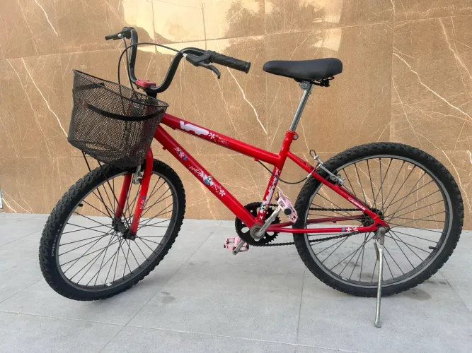 Bicicleta aro 24