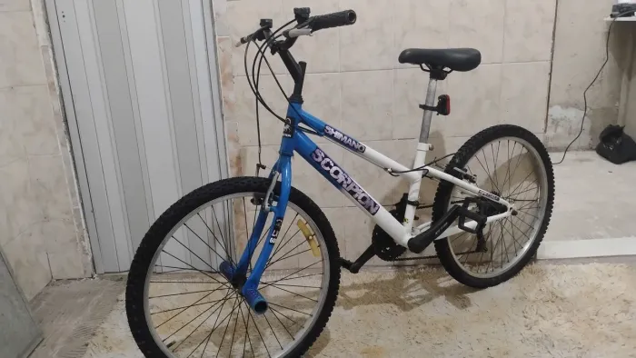Bicicleta BIKE 24 RADICAL