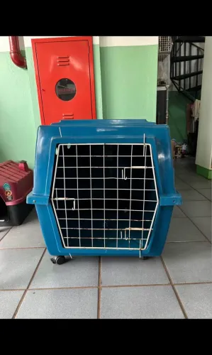 Caixa de Transporte Cão Gigante Clonadi