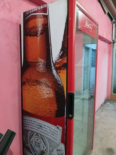 Freezer Expositor