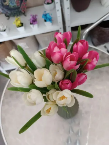 Buquês de tulipas várias cores lindas