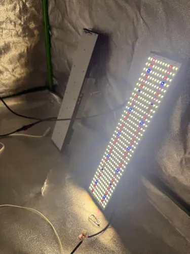 Led - SAMSUNG LM301H, 35K UV660 IR Blue FS, 240W