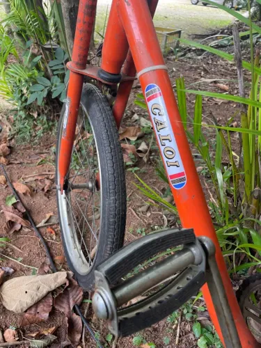 Bicicleta antiga