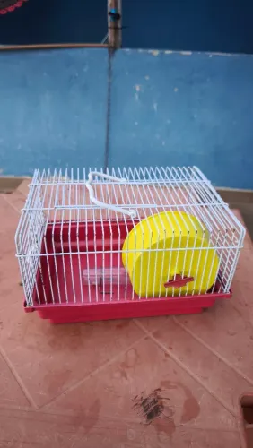 Gaiola para Hamster