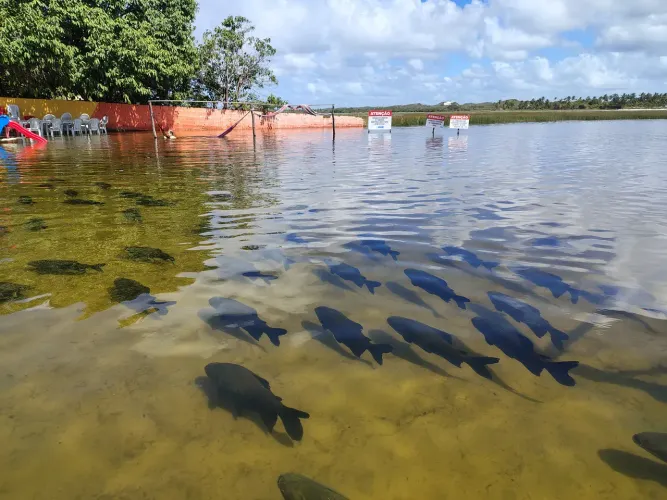 casa beira lagoa dos tambaquis linha verde