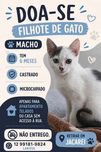 Doa se filhote de gato castrado