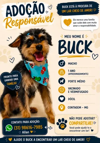 Adoção consciente