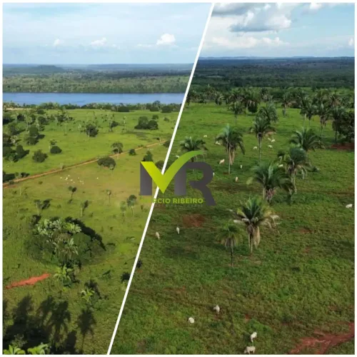 FAZENDA À VENDA TOCANTINÓPOLIS/TO 2.081 hectares