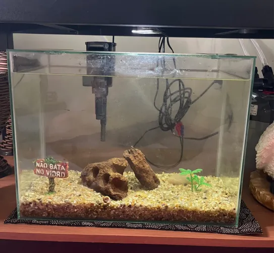 Aquário completo 24lts