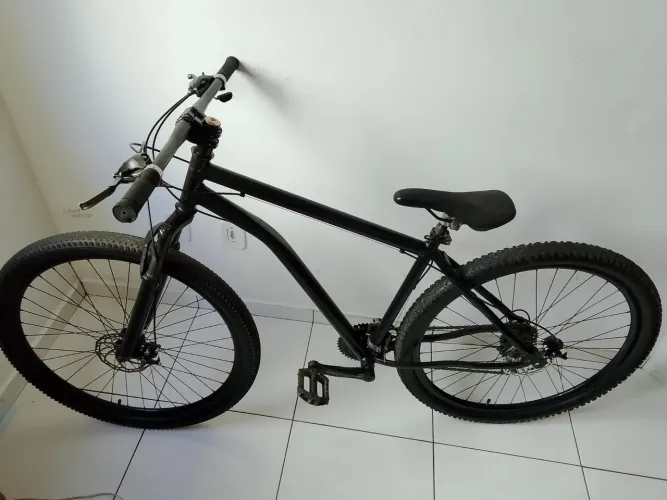 Bicicleta aro 29
