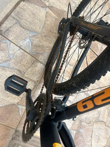Bicicleta colli 29