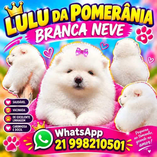 Luluzinha toda Branca - Princesinha
