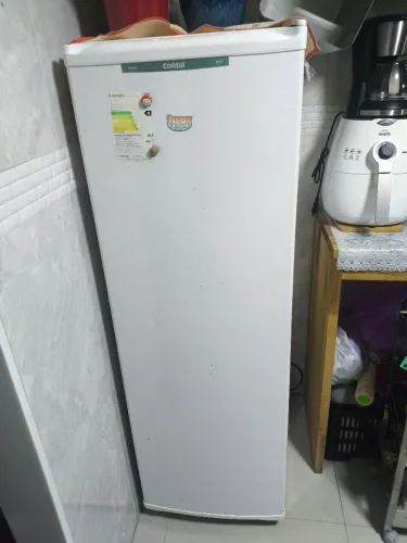 Freezer 1 porta 276 litros