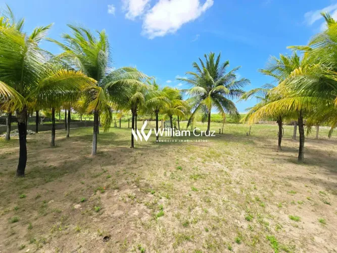 Oportunidade Única para Investidores Terreno Beira-Mar em Japaratinga/AL