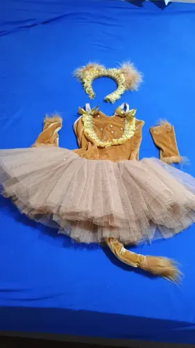 Roupas de Bailarina