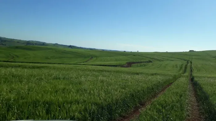 Vend fazenda a 2mil saca de soja por alqueiro 