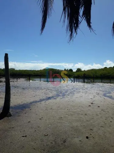 Sitio ao Lado da Ilha dos Aquários