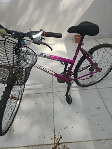 Bicicleta