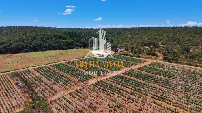 Fazenda à Venda em Jequitibá-Mg / Cordisburgo -Mg