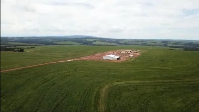 Fazenda de 300 alqueires em Doverlândia-GO 