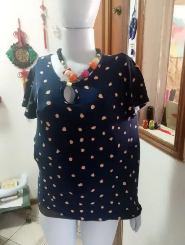 Blusa