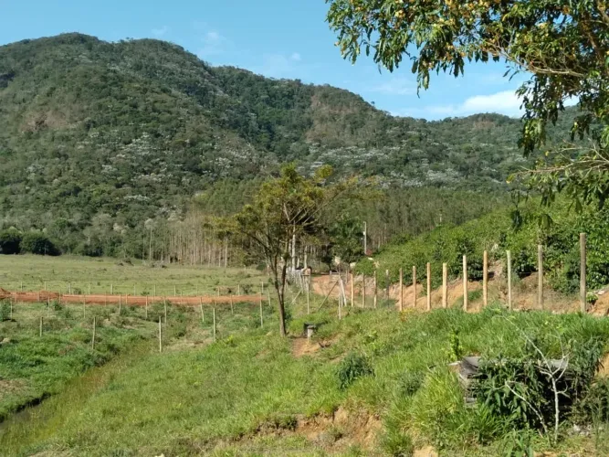 Terreno Minas Gerais 
