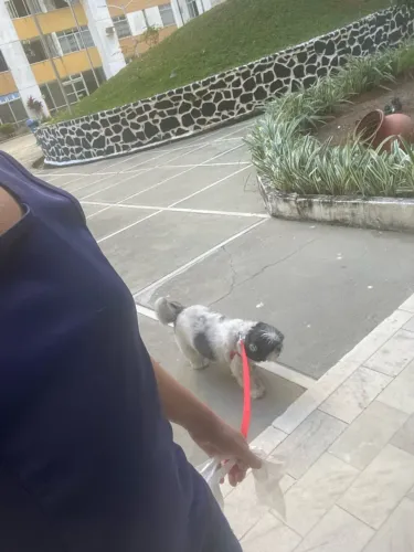 Vaga pra emprega doméstica