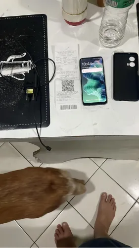 Motorola novo