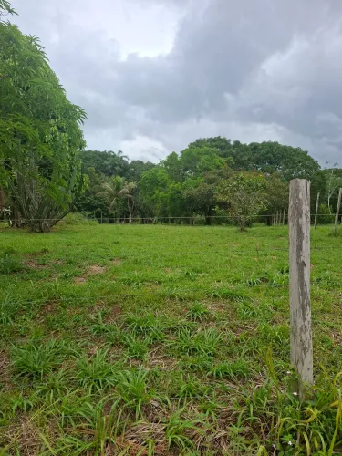 Terreno