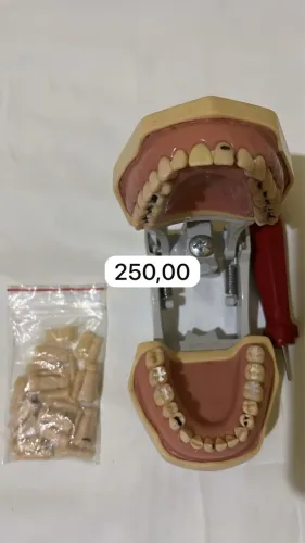 Manequim odontológico
