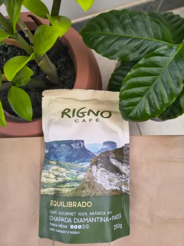 Café gourmet, torra média, 250g, de Piatã - Chapada Diamantina 