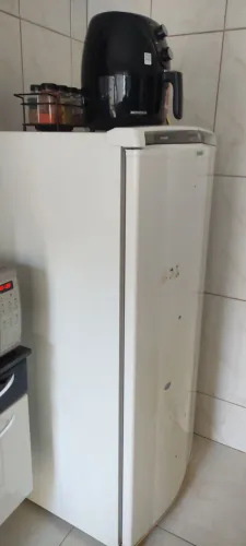 Geladeira 300 litros