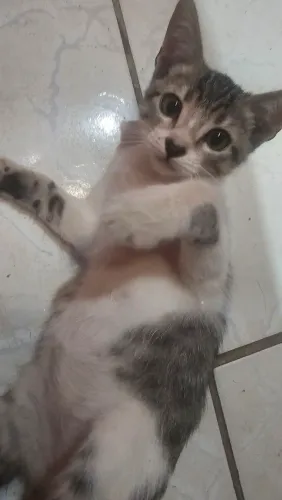 Doação
