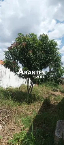 Terreno com 270m² à venda no bairro Taiaman