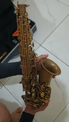 Sax alto Michael 