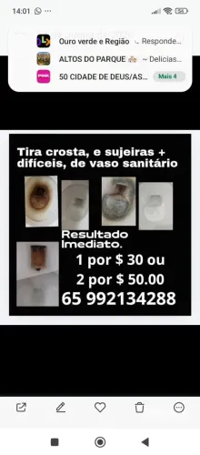 Limpa vaso sem esforço