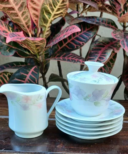 Porcelana Schmidt para reposição