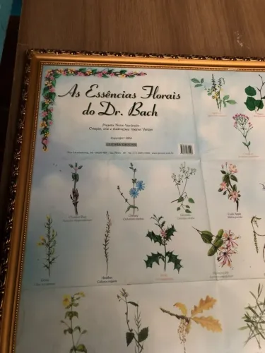 Quadro Para Decoração (As Essências Florais Do Dr. Bach)