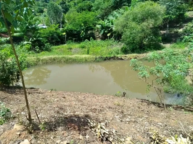 CHÁCARA 2 LINHAS , REPRESA, POÇO E ENERGIA