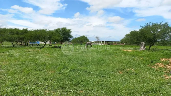 Fazenda à venda em Jandaíra 300 hectares com alto potencial produtivo