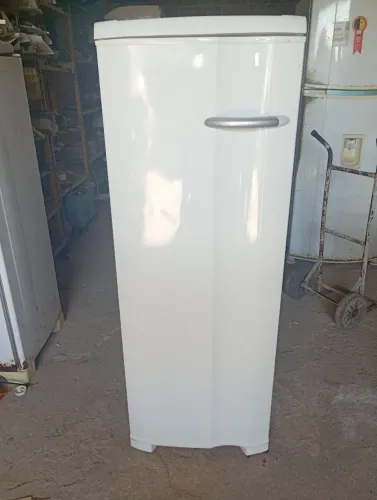Freezer vertical