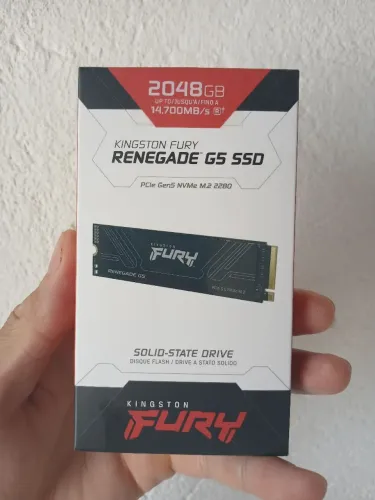 SSD M.2 2TB Kingston Fury Renegade Gen5 14.700 MB/s)( Lacrado)