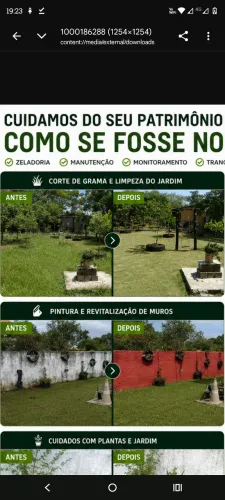 Jardinagem Corte de Grama, Lavagem de Quintal/Garagem/Calçada e Pintura