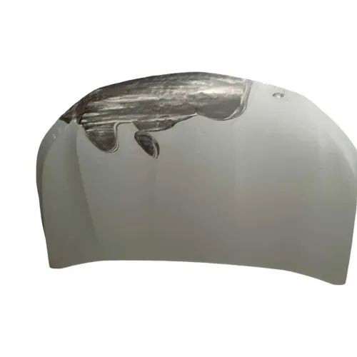 Capo Onix 2020 a 2024