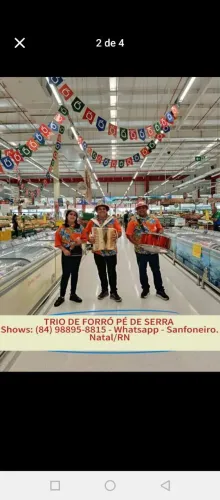 Sanfoneiro