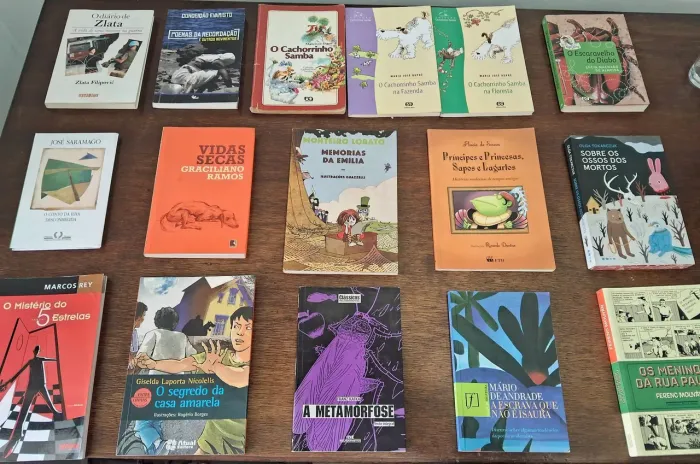 Kit de 17 livros seminovos, literatura brasileira e Paradidáticos Escolares